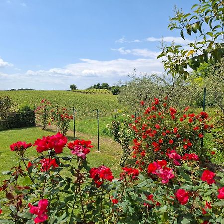 Villa Poggio 巴多利诺 外观 照片