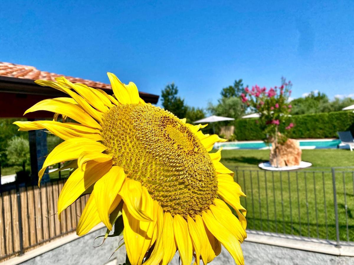 Villa Poggio 巴多利诺 外观 照片