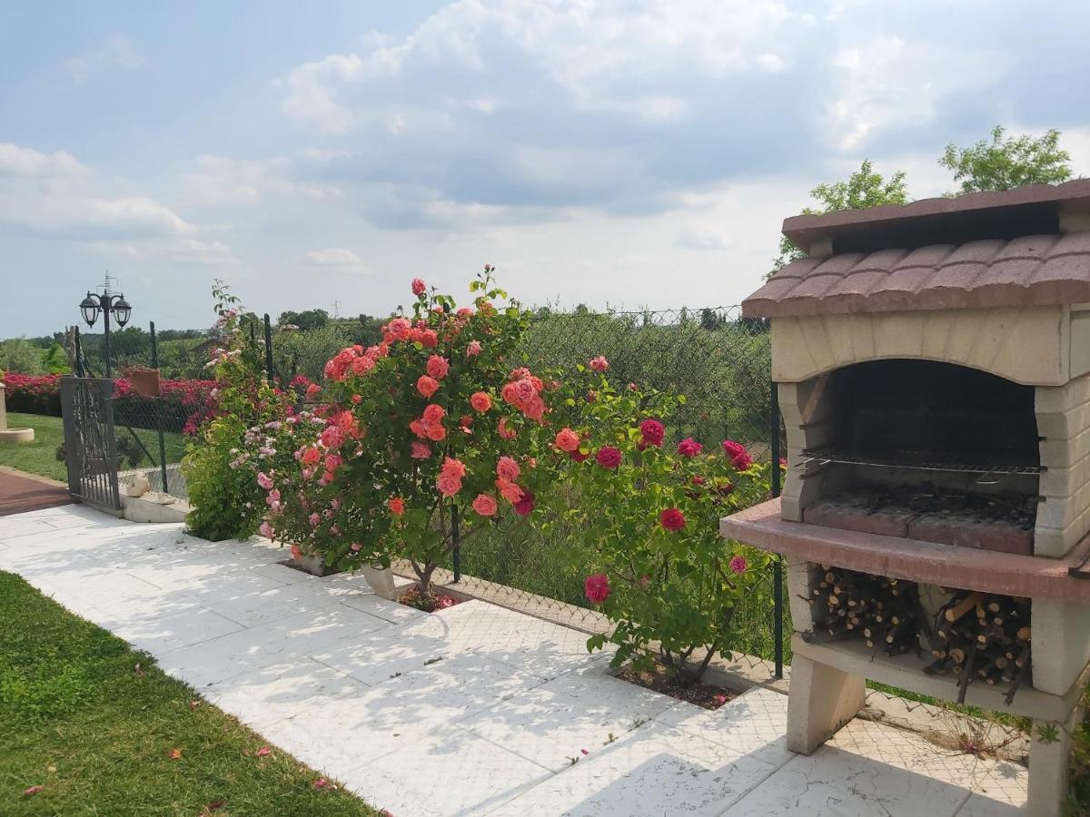 Villa Poggio 巴多利诺 外观 照片