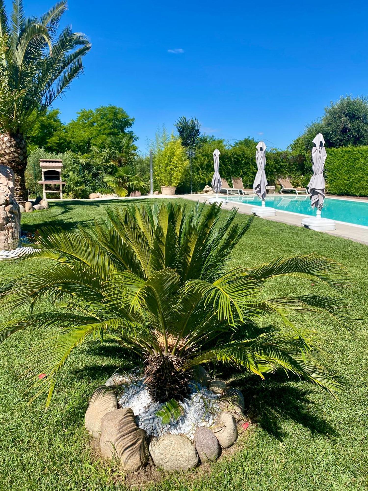 Villa Poggio 巴多利诺 外观 照片