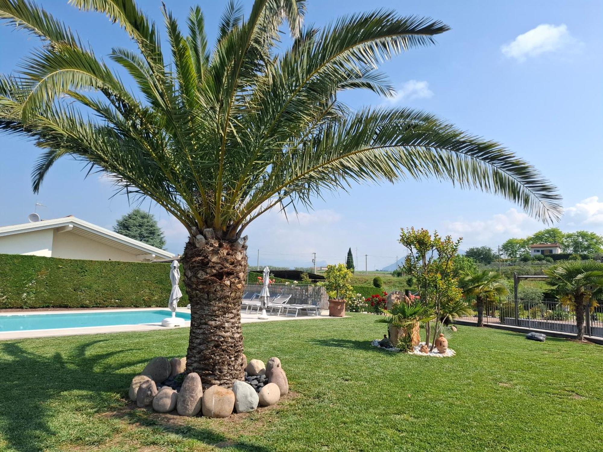 Villa Poggio 巴多利诺 外观 照片