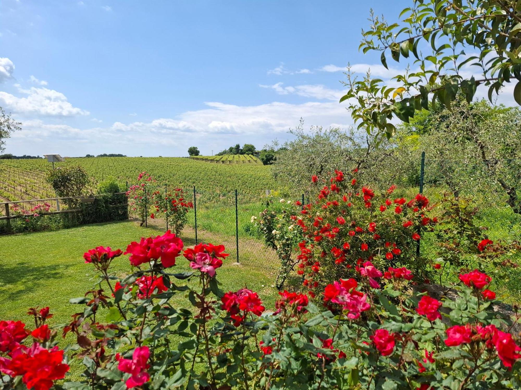 Villa Poggio 巴多利诺 外观 照片