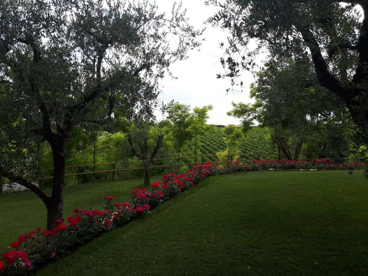 Villa Poggio 巴多利诺 外观 照片