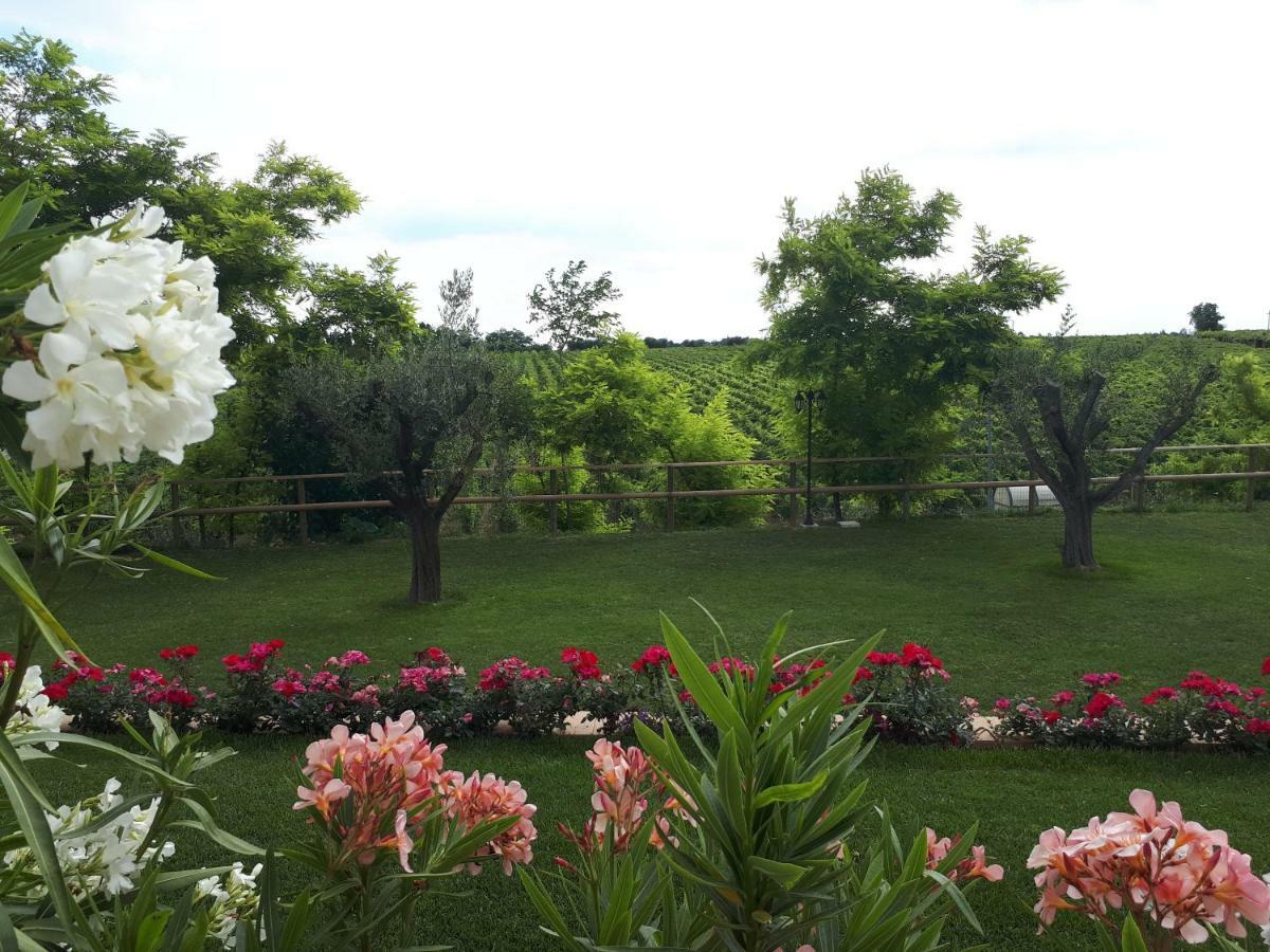 Villa Poggio 巴多利诺 外观 照片