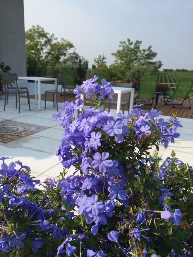 Villa Poggio 巴多利诺 外观 照片